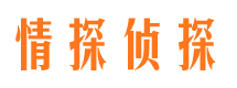 天心私家侦探公司